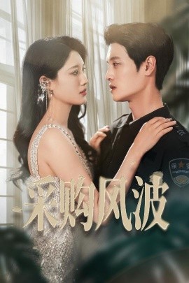 资源《采购风波》的海报