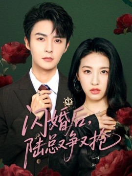 资源《闪婚后，陆总又争又抢》的海报