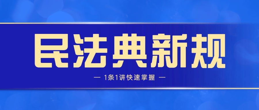 资源《民法典新规1条1讲快速掌握》的海报