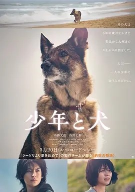 日影丨少年与犬