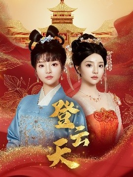 资源《登云天》的海报