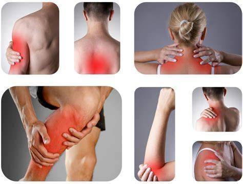 资源《《体态康复课程》FSN运动康复出品》的海报