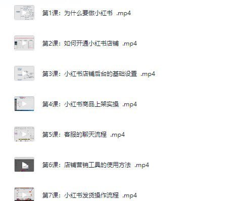 资源《《小红书电商运营·从入门到精髓》价值两千多[mp4]》的海报