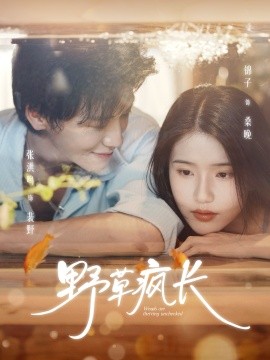 资源《野草疯长》的海报