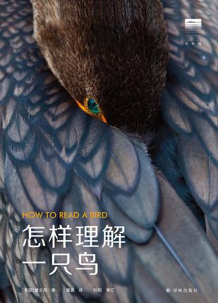 资源《怎样理解一只鸟 [﻿人文社科] [pdf+全格式]》的海报