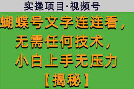 资源《蝴蝶号文字连连看，无需任何技术，小白上手无压力【揭秘】》的海报