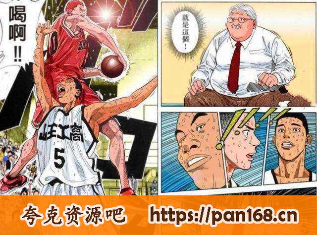资源《《灌篮高手漫画》1-31单行本全卷 井上雄彦[pdf]》的海报