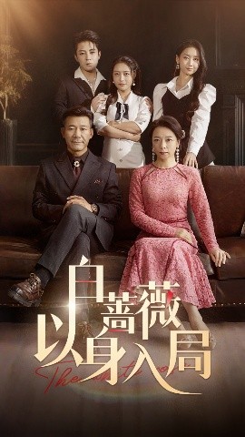 资源《白蔷薇以身入局》的海报
