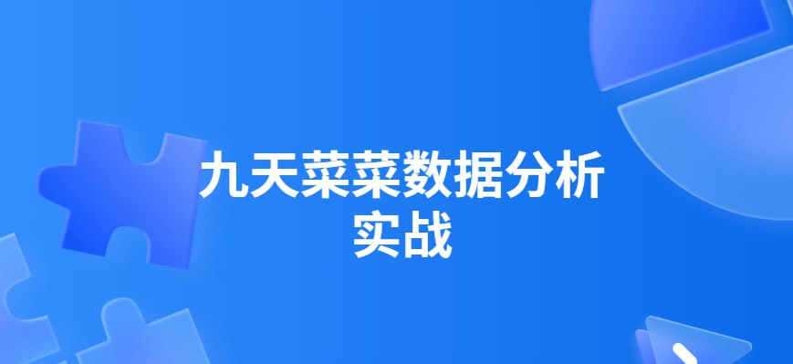 资源《九天菜菜-数据分析实战》的海报