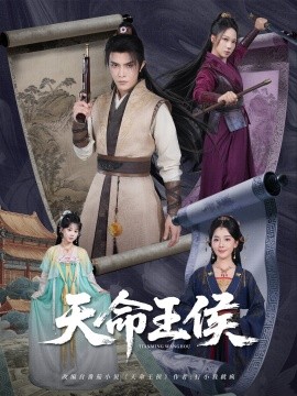 资源《天命王侯》的海报