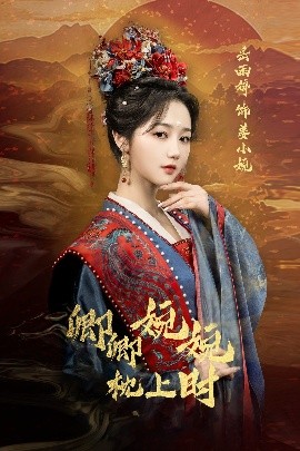 资源《卿卿婉婉枕上时》的海报