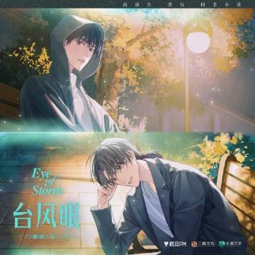 资源《《台风眼》广播剧+有声剧+小说txt》的海报