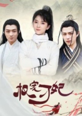 资源《权宠刁妃》的海报