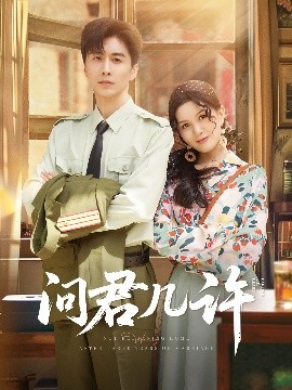 资源《问君几许》的海报