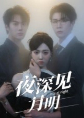 资源《夜深见月明》的海报