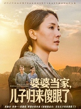 资源《婆婆当家，儿子归来傻眼了》的海报