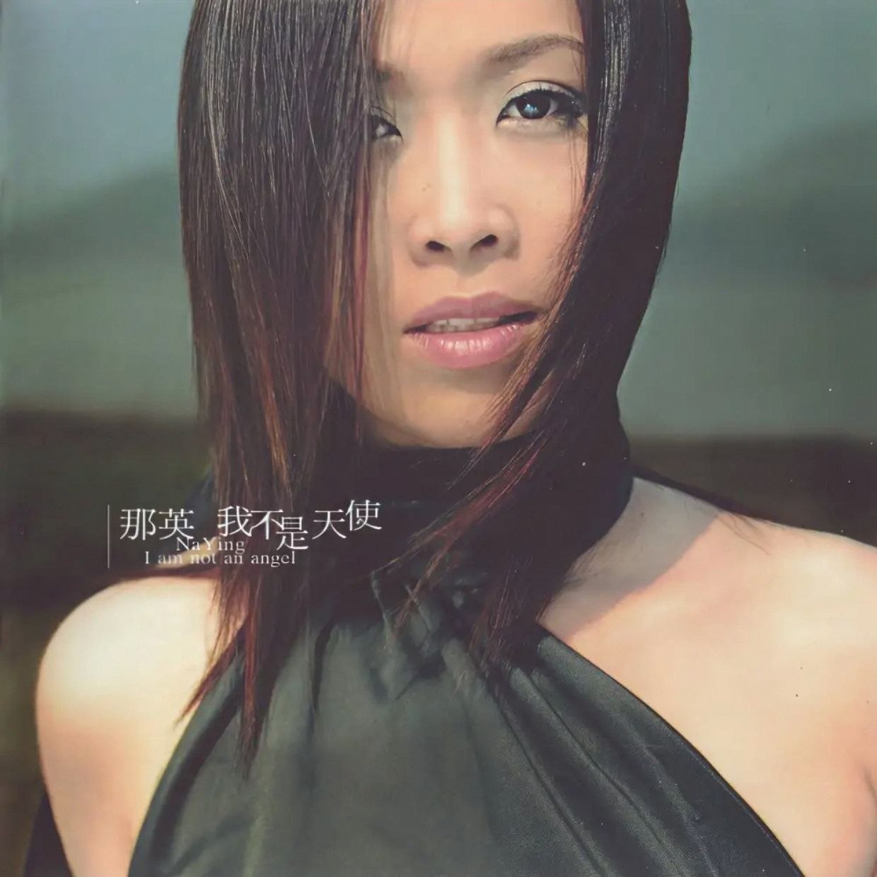 资源《那英 合集 FLAC 分轨》的海报