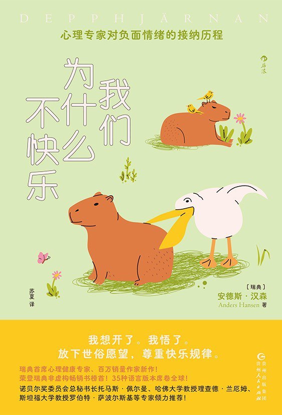 资源《《我们为什么不快乐》(自我提升) [PDF+AZW3+EPUB+MOBI]》的海报