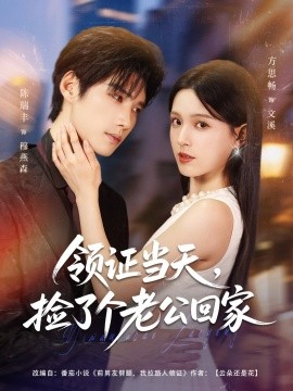 资源《领证当天，捡了个老公回家》的海报