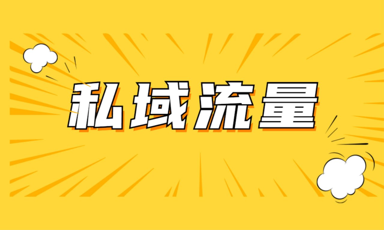 资源《私域2.0时代，私域总监实训营课程，培养能拿结果的私域操盘手》的海报