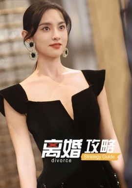 资源《离婚攻略》的海报